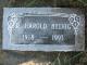 2022_766_Harold_Helvig_Gravstein_1918_1993.jpg