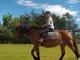 2023_292_Annvor_Klingsheim_2014_Facebook.jpg